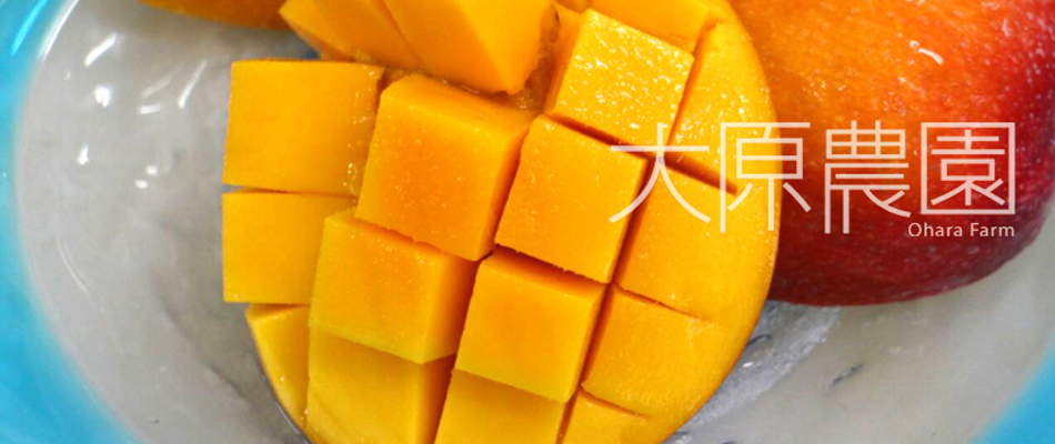 大原農園 石垣島